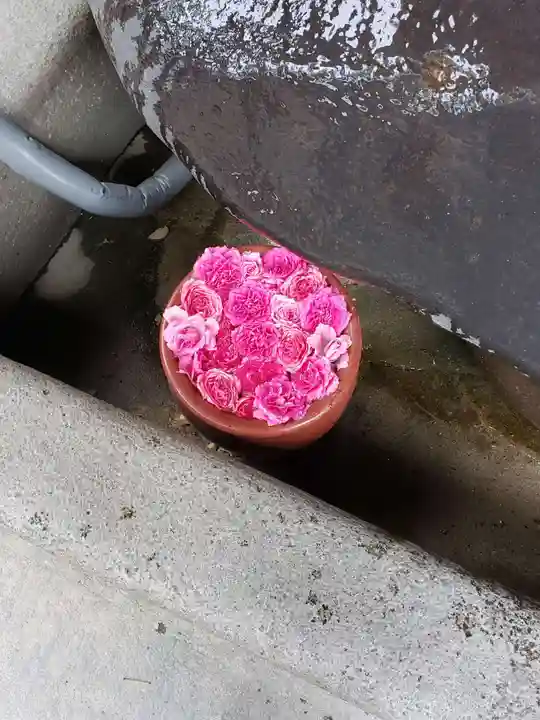 菅生神社の手水舎