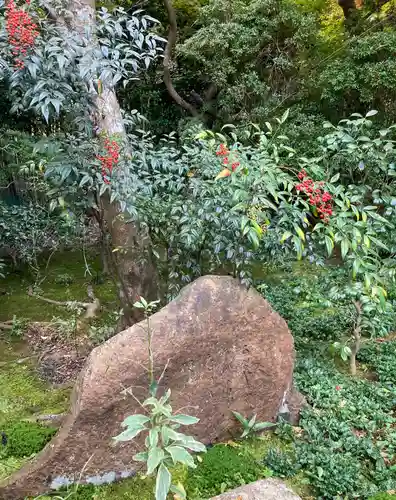 厭離庵(京都府)