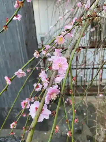 武蔵第六天神社(埼玉県)