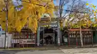 波除神社(波除稲荷神社)の鳥居