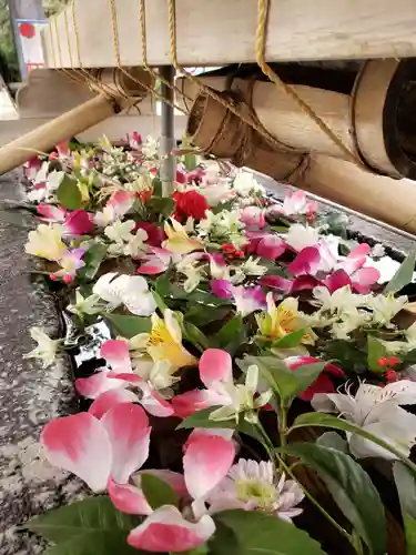 鳩森八幡神社の手水舎