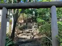 猿楽神社の{uncategorized: "未分類", other: "その他", undefined: "問題あり", building: "その他建物", grave: "お墓", sacred_gate: "鳥居", guardian: "狛犬", statue: "像", buddha: "仏像", history: "歴史", nature: "自然", garden: "庭園", animal: "動物", pagoda: "塔", temizu: "手水舎", mountain_gate: "山門・神門", sanctuary: "本殿・本堂", subordinate: "末社・摂社", art: "芸術", scenery: "景色", jizo: "地蔵", ema: "絵馬", goshuin: "御朱印", omikuji: "おみくじ", items: "授与品その他", amulet: "お守り", goshuincho: "御朱印帳", eats: "食事", festival: "お祭り", votive_dance: "神楽", shichigosan: "七五三参", wedding: "結婚式", experience: "体験その他", initially: "初詣", around: "周辺", anti_infection: "感染症対策"}
