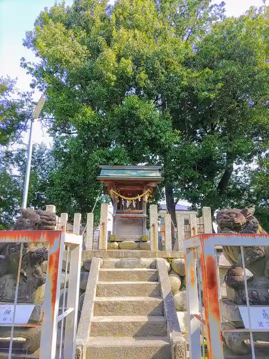 津島社(松下)の本殿・本堂