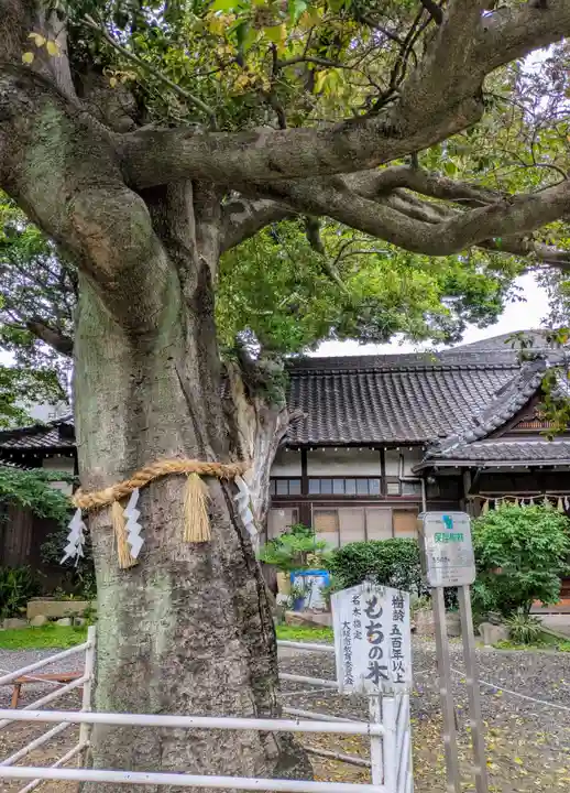 生根神社(大阪府)