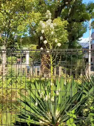東明八幡神社の自然