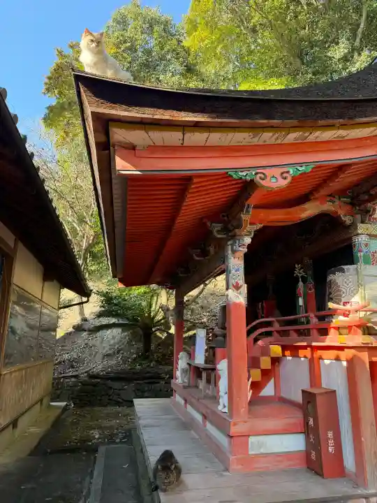 上岩出神社の{uncategorized: "未分類", other: "その他", undefined: "問題あり", building: "その他建物", grave: "お墓", sacred_gate: "鳥居", guardian: "狛犬", statue: "像", buddha: "仏像", history: "歴史", nature: "自然", garden: "庭園", animal: "動物", pagoda: "塔", temizu: "手水舎", mountain_gate: "山門・神門", sanctuary: "本殿・本堂", subordinate: "末社・摂社", art: "芸術", scenery: "景色", jizo: "地蔵", ema: "絵馬", goshuin: "御朱印", omikuji: "おみくじ", items: "授与品その他", amulet: "お守り", goshuincho: "御朱印帳", eats: "食事", festival: "お祭り", votive_dance: "神楽", shichigosan: "七五三参", wedding: "結婚式", experience: "体験その他", initially: "初詣", around: "周辺", anti_infection: "感染症対策"}