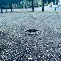 峯ヶ岡八幡神社(埼玉県)
