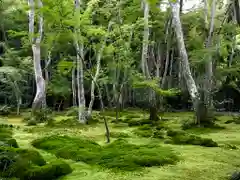 祇王寺の庭園