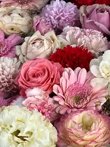 玉前神社(千葉県)