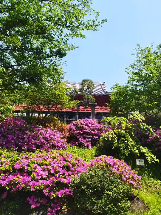 清水観音堂(東京都)