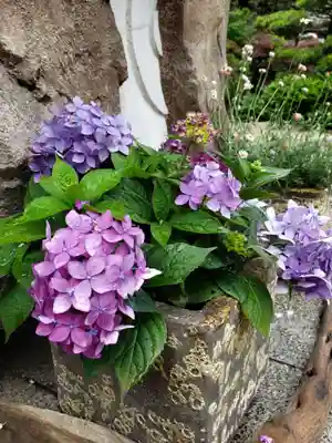 東京大神宮(東京都)