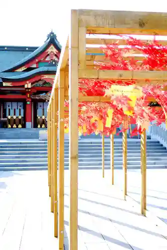 樽前山神社の体験その他