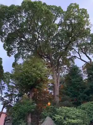 伊勢山皇大神宮(神奈川県)