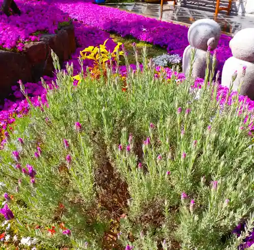 寿量山　速成寺(奈良県)