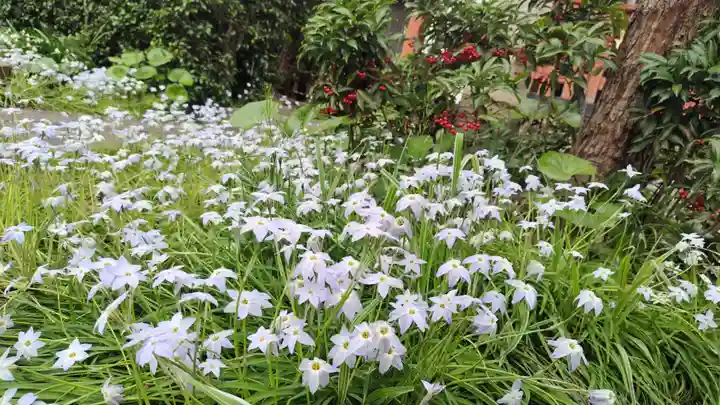 祐正寺(京都府)