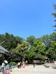 櫻木神社(千葉県)