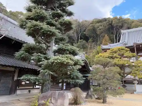 勝福寺(兵庫県)