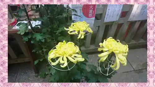 戸越八幡神社(東京都)