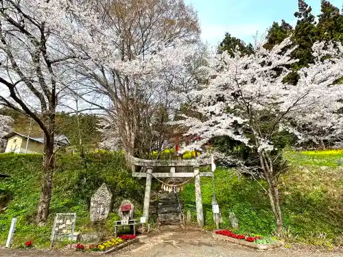 戸隠神社の鳥居