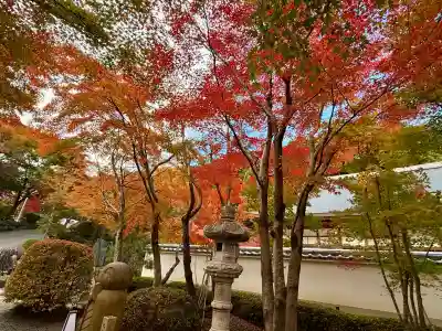 宝徳寺(群馬県)