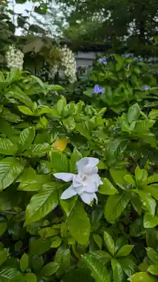 本法寺(京都府)