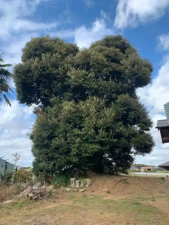 六所大神(千葉県)