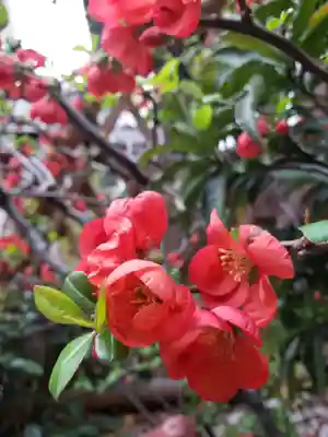 永昌寺(東京都)