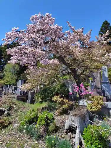 願成寺(福島県)
