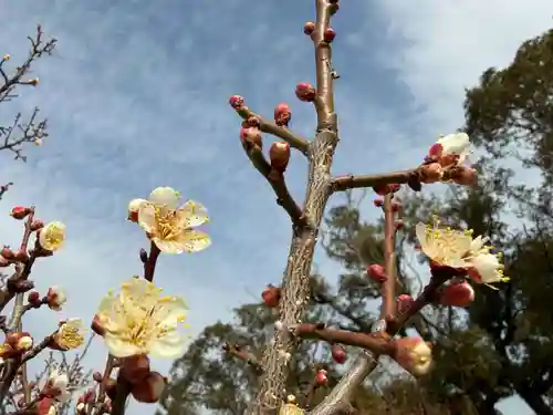 美奈宜神社(福岡県)