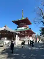 成田山平和大塔(千葉県)