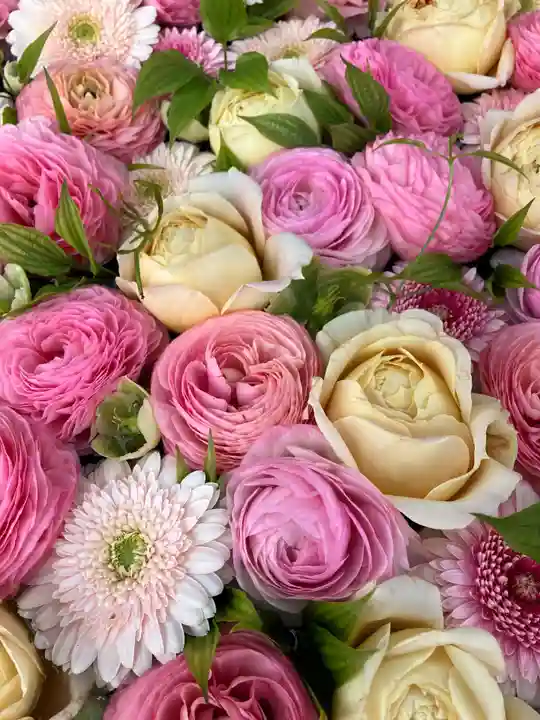 発寒神社(北海道)