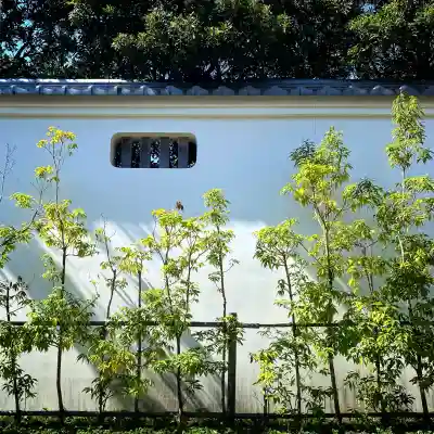 御霊神社(神奈川県)