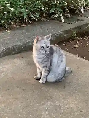 麻賀多神社(千葉県)