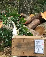 糀谷八幡宮の建物その他