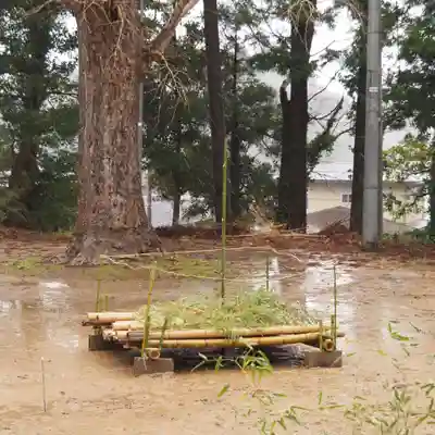 天王山 安楽寺(福井県)