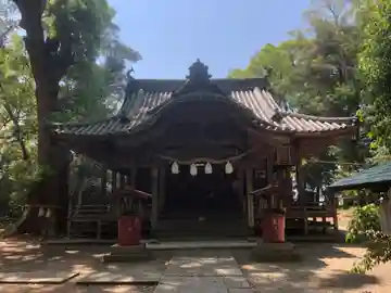 伊豫神社の本殿・本堂