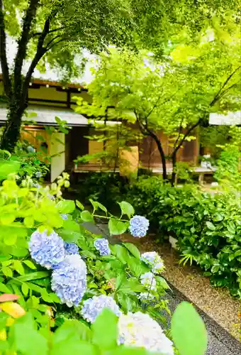 梨木神社(京都府)