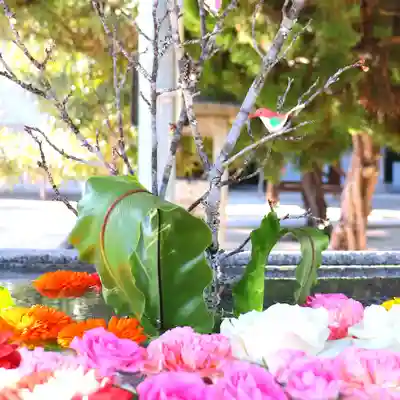 三津厳島神社の手水舎