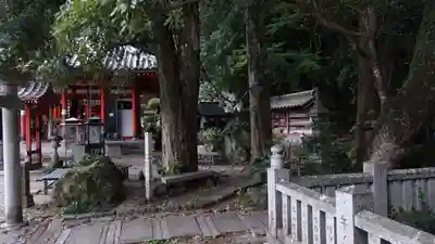 お松大権現(徳島県)