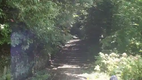  智積院(京都府)