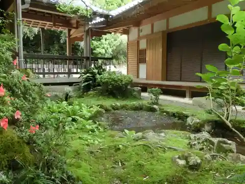 勝持寺（花の寺）の庭園