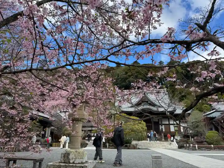 修禅寺の{uncategorized: "未分類", other: "その他", undefined: "問題あり", building: "その他建物", grave: "お墓", sacred_gate: "鳥居", guardian: "狛犬", statue: "像", buddha: "仏像", history: "歴史", nature: "自然", garden: "庭園", animal: "動物", pagoda: "塔", temizu: "手水舎", mountain_gate: "山門・神門", sanctuary: "本殿・本堂", subordinate: "末社・摂社", art: "芸術", scenery: "景色", jizo: "地蔵", ema: "絵馬", goshuin: "御朱印", omikuji: "おみくじ", items: "授与品その他", amulet: "お守り", goshuincho: "御朱印帳", eats: "食事", festival: "お祭り", votive_dance: "神楽", shichigosan: "七五三参", wedding: "結婚式", experience: "体験その他", initially: "初詣", around: "周辺", anti_infection: "感染症対策"}