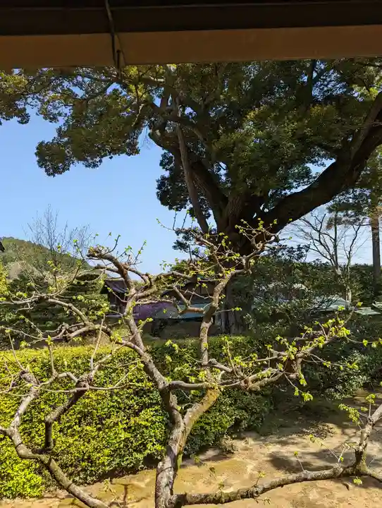 圓通寺(京都府)
