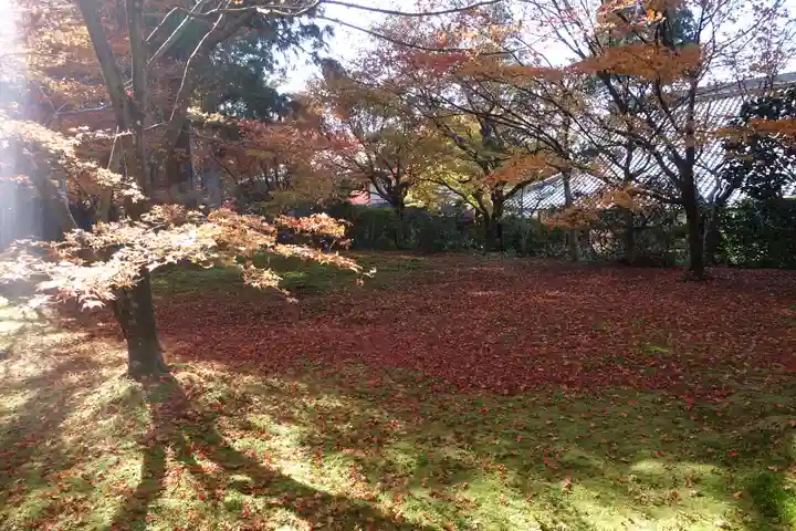 三千院門跡の自然