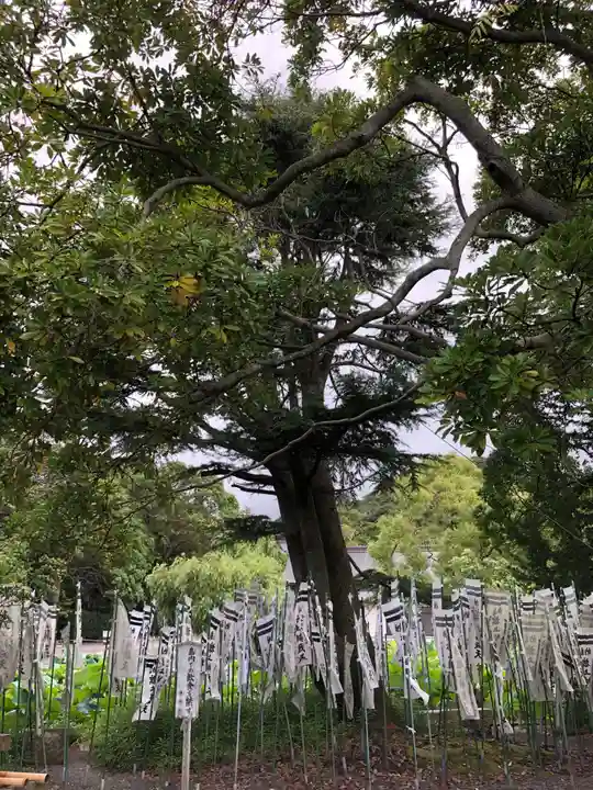 旗上弁財天社のその他建物