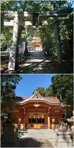 小金井神社の本殿・本堂