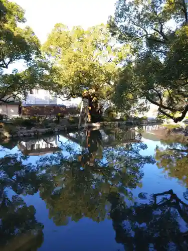 太宰府天満宮(福岡県)