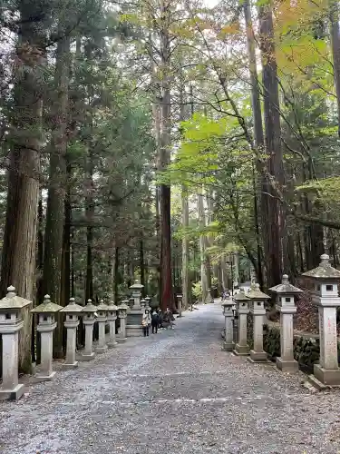 三峯神社の{uncategorized: "未分類", other: "その他", undefined: "問題あり", building: "その他建物", grave: "お墓", sacred_gate: "鳥居", guardian: "狛犬", statue: "像", buddha: "仏像", history: "歴史", nature: "自然", garden: "庭園", animal: "動物", pagoda: "塔", temizu: "手水舎", mountain_gate: "山門・神門", sanctuary: "本殿・本堂", subordinate: "末社・摂社", art: "芸術", scenery: "景色", jizo: "地蔵", ema: "絵馬", goshuin: "御朱印", omikuji: "おみくじ", items: "授与品その他", amulet: "お守り", goshuincho: "御朱印帳", eats: "食事", festival: "お祭り", votive_dance: "神楽", shichigosan: "七五三参", wedding: "結婚式", experience: "体験その他", initially: "初詣", around: "周辺", anti_infection: "感染症対策"}