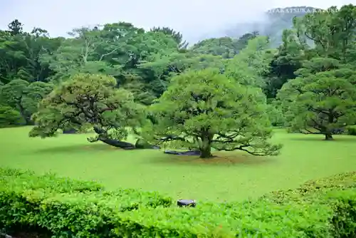 伊勢神宮内宮（皇大神宮）の庭園