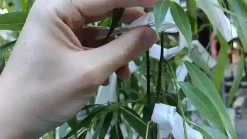 頂法寺（六角堂）(京都府)